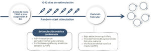 Procedimiento de estimulación ovárica y obtención de ovocitos.