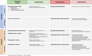 Resumen de las principales opciones de preservación de fertilidad atendiendo a su carácter de técnica establecida/experimental y la edad/desarrollo puberal del paciente.