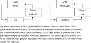 Representación esquemática de los 2 posibles circuitos implicados en la realización de movimientos rítmicos con y sin guía sensorial. Modificada de Brooks57, y Kritikos et al.58