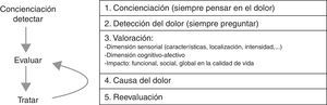 Principales recomendaciones en el manejo del dolor crónico en el anciano10.