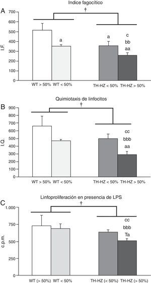 Funciones inmunitarias de los leucocitos peritoneales de ratones silvestres (WT) y con haploinsuficiencia para la enzima tirosina hidroxilasa (TH-HZ), clasificados según la proporción de cada genotipo en la jaula: WT>50% (la proporción de controles fue superior al 50% respecto a los TH-HZ), WT<50% (la proporción de WT fue menor al 50%), TH-HZ<50% (la proporción de TH-HZ fue menor al 50% respecto a los WT) y TH-HZ>50% (la proporción de TH-HZ fue mayor al 50%). Cada columna representa la media±desviación estándar de 5 valores correspondientes a ese número de animales. A) Capacidad fagocítica de macrófagos peritoneales representada por el índice fagocítico (IF), siendo este el número de bolas de látex ingeridas/100 macrófagos. B) Capacidad quimiotáctica de linfocitos peritoneales representada por el índice de quimiotaxis (IQ). C) Capacidad proliferativa de los linfocitos peritoneales en presencia de LPS, representada por las cuentas por millón (cpm). † p<0,05, con respecto a los animales WT; a p<0,05, aa p<0,05, con respecto a los animales WT>50%; bb p<0,01, bbb p<0,001, con respecto a los animales WT<50%; c p<0,05, cc p<0,01, con respecto a los animales TH-HZ<50%. Ta p=0,057 con respecto a los animales WT>50%.