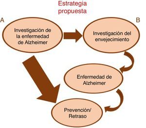 Estrategias de prevención/retraso para la EA. A) la estrategia actual consiste en investigar los procesos celulares y moleculares de la propia enfermedad; B) la estrategia propuesta incide en investigar los procesos subyacentes al envejecimiento.