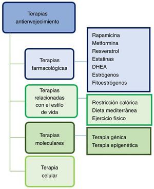 Terapias antienvejecimiento para la EA.