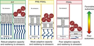 Modelo para representar el mecanismo de la fragilidad. Las personas mayores robustas (fit) tienen una buena capacidad de adaptación y resiliencia a los agentes estresores que les conduce a una evolución favorable. Las personas frágiles (frail) tienen una capacidad de adaptación y resiliencia pobres. A pesar de que no se aprecian diferencias importantes en ausencia de estresores, aumentan mucho con el efecto de estos. Los pacientes prefrágiles y frágiles tienen un riesgo mayor de mala evolución (poor outcomes) cuando son sometidos a procedimientos quirúrgicos, quimioterapia o radioterapia.Figura tomada con licencia editorial de Ethun et al.42.