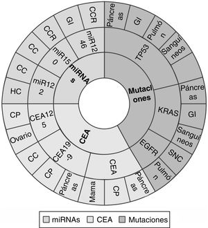 Principales biomarcadores estudiados de forma común en varios tipos de cáncer. CC: colangiocarcinoma; CCR: cáncer colorrectal; CP: carcinomatosis peritoneal; GI: cáncer gastrointestinal; HC: hepatocarcinoma; SNC: sistema nervioso central. Fuente: elaboración propia.