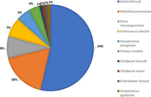 Etiología de la infección urinaria comunitaria (periodo de estudio 2020-2021).