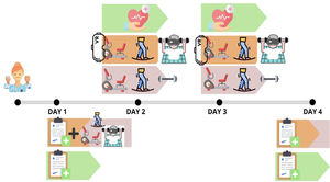 Schematic study timeline.
