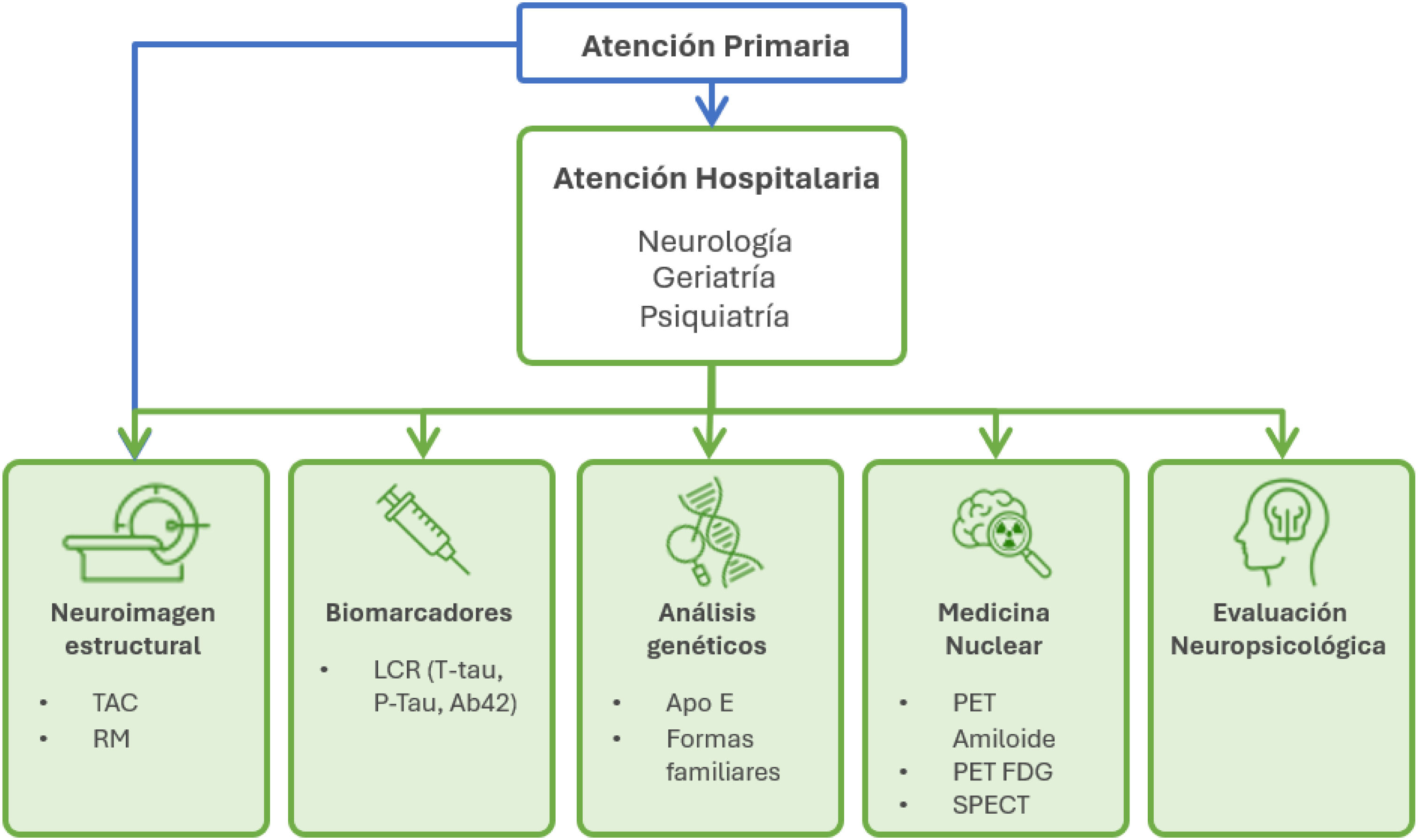 fig0020