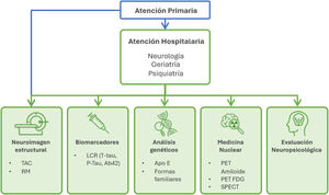 Principales pruebas empleadas durante la valoración diagnóstica. Ab42: β-amiloide 42; ApoE: apolipoproteínaE; LCR: líquido cefalorraquídeo; PET: tomografía por emisión de positrones; PET-FDG: PET con fluorodesoxiglucosa; P-tau: tau fosforilada; RM: resonancia magnética; SPECT: tomografía computarizada por emisión de fotón único; TAC: tomografía axial computarizada; T-tau: tau total.