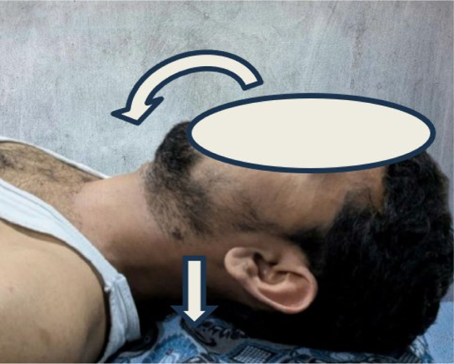 Effects of ergonomic workstation interventions and deep neck flexors ...