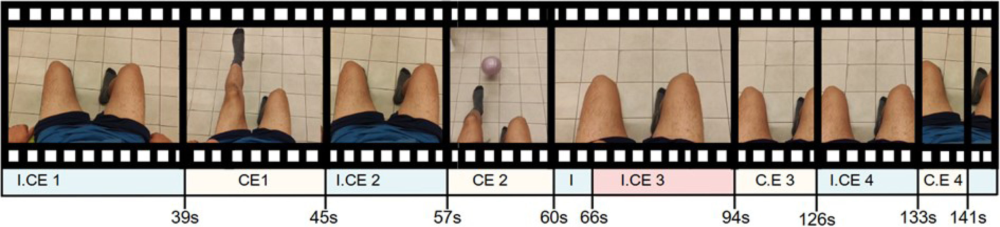 fig0010