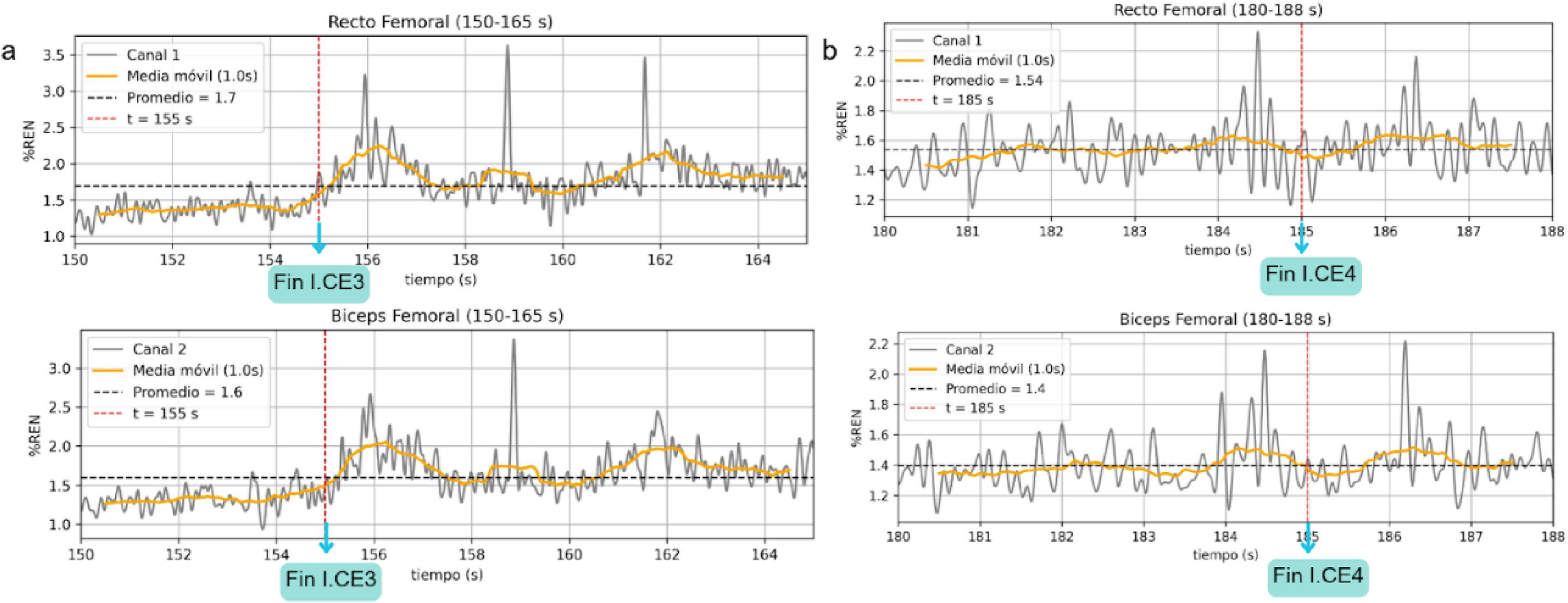 fig0020