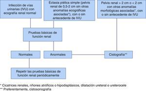 Propuesta de algoritmo para solicitar una cistografía en niños con IVU o CAKUT a partir de ciertos datos morfológicos ecográficos y de las pruebas básicas de estudio de la función renal.