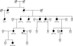 Ejemplo de familia con mutación en el gen UMOD. Con una flecha se marca el caso índice. ERC: enfermedad renal crónica; ERCT: enfermedad renal crónica terminal.