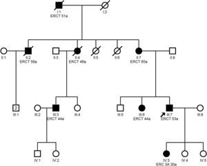 Ejemplo de familia con mutación en el gen MUC1. Con una flecha se marca el caso índice. ERC: enfermedad renal crónica; ERCT: enfermedad renal crónica terminal.