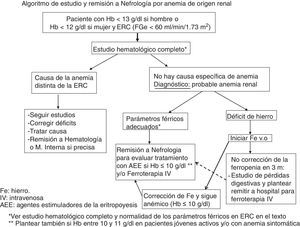 Algoritmo de estudio y remisión a Nefrología por anemia de origen renal.