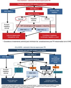 Aproximación de la valoración del tratamiento frente al VHC en pacientes con insuficiencia renal crónica terminal candidatos a trasplante renal.