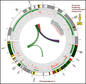Circos plot illustrating the chromosomal interactions among the current SNP (rs1801282) and its associated SNPs. The Circos plot (outer to inner) denotes chromatin states, annotated genes, histone modifications, transcription factors, rs1801282 variant with associated SNPs (r2).