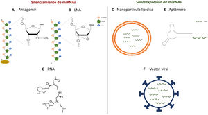 Estrategias para la administración de antagonistas o agonistas de miRNA in vivo. A-C)Estructura química de los análogos de ácidos nucleicos: antagomiR (A), LNA (B) y PNA (C), empleados como estrategias de silenciamiento de miRNA in vivo. D-F)Modelos esquemáticos de nanopartículas lipídicas (D), aptámeros (E) y vectores virales (F) para la dispensación de miméticos in vivo.