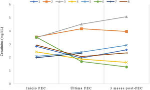 Evolución de los niveles de creatinina sérica durante y tras el tratamiento con FEC.