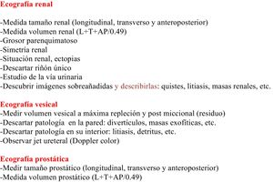 Datos a recoger en una ecografía renal, vesical y prostática.