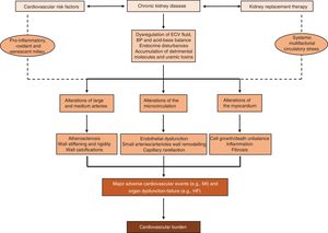 Schematic view of the mechanisms involved in the pathogenesis and consequences of cardiovascular disease in chronic kidney disease (ECV, extracellular volume; BP, blood pressure; MI, myocardial infarction; HF, heart failure).
