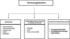 Mechanisms of glomerular toxicity. AIg amyloidosis (immunoglobulin-derived amyloidosis), MIDD (monoclonal Ig deposition disease), MPGMID (proliferative GN with monoclonal Ig deposits), POEMS (polyneuropathy, organomegaly, endocrinopathy, monoclonal gammopathy, skin changes), C3G (C3 glomerulopathy).