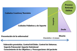 Marco conceptual de la consulta de cuidados paliativos (CP).