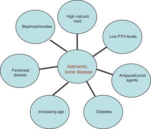Risk factors for adynamic bone disease.