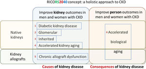 RICORS2040 concept and overall structure and research aims. RICORS2040 aims at improving kidney and person outcomes in both men and women with CKD. There are two set of aims. The first set aims at improving the diagnosis and management of the most common causes of CKD to prevent or delay CKD progression. For this, the main causes of native kidney CKD (diabetes, glomerular, inherited/genetic) will be addressed, and the accelerated kidney aging concept will be explored as a final common pathway of CKD progression and as a potential cause of CKD in persons in whom no other cause is identified. Since the life expectancy of kidney allografts is markedly shorter than for native kidneys, chronic allograft dysfunction will also be explored. The second set aims to improve person outcomes by optimizing the diagnosis and management of the consequences of CKD (or of kidney transplantation therapy) on other organs and systems, what we have collectively named as the accelerated biological aging of CKD. Please note that aim 4 is focused on accelerated kidney aging as a cause of CKD and on kidney events, while aim 6 is focused on the impact of CKD on other organs and systems, that is, on accelerated biological aging of diverse organs and systems occurring as a consequence of CKD. Care will be taken to identify and optimize the management of gender-related issues and provide clinical guidance with specific information for men and for women. Reproduced from 1.