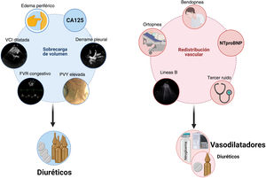 Integración de métodos clínicos, biomarcadores y técnicas de imagen para distinguir entre congestión debida a sobrecarga de volumen vs. redistribución vascular. CA125: antígeno carbohidrato 125; FVR: flujo venoso renal; NTproBNP: fragmento N-terminal del péptido natriurético tipo B; PVY: presión venosa yugular; VCI: vena cava inferior.