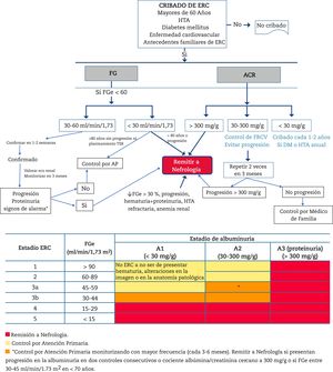 Algoritmo de diagnóstico y atención compartida entre Atención Primaria y Nefrología. ERC: enfermedad renal crónica; HTA: hipertensión arterial; FG: filtrado glomerular estimado; ACR: cociente albúmina/creatinina en orina; TSR: tratamiento sustitutivo renal; FRCV: factores de riesgo cardiovascular; DM: diabetes mellitus.