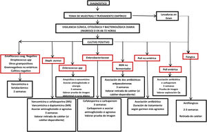 Tratamiento secundario de la infección peritoneal (tras resualtado de cultivo).