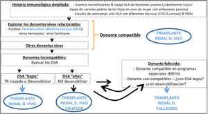Algoritmo de evaluación para trasplante renal en un receptor con sensibilización HLA partiendo del donante vivo como mejor opción.