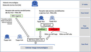 Esquema para estudio inmunológico para trasplante renal de donante vivo.