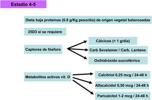 Alternativas terapéuticas (estadios 4-5)