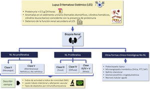 Diagnóstico de la lesión renal en LESFigura adaptada de: Parikh SV, Almaani S, Brodsky S, Rovin BH. Update in lupus nephritis: Core Curriculum 2020. Am J Kidney Dis. 2020;76:265-81. LES: lupus eritematoso sistémico; NIH: National Institute of Health; NL: nefritis lúpica; PTT: púrpura trombótica trombocitopénica; SAF: síndrome antifosfolípido; SHUa: síndrome hemolítico-urémico atípico.