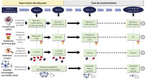 Objetivos en el tratamiento de la nefritis lúpica según los parámetros renales, inmunológicos y tiempo de seguimiento eGFR: tasa de filtración glomerular estimada; H/C: hematíes por campo; NL: nefritis lúpica, RC: remisión completa; RP: remisión parcial.