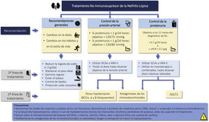 Recomendaciones de fármacos renoprotectores en la nefritis lúpica ARA-II: antagonistas de los receptores de angiotensina II; BCCA: bloqueadores de los canales de calcio; IECAs: inhibidores de la enzima convertidora de angiotensina; iSGLT2: inhibidores del cotransportador tubular 2 de sodio-glucosa; SRAA: sistema renina-angiotensina-aldosterona; uPCR: cociente proteína/creatinina en orina.