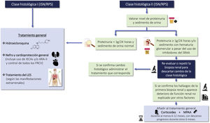 Actitud terapéutica y medidas generales en las clases histológicas I y II ARA-II: antagonistas de los receptores de angiotensina II; FRCV: ractores de riesgo cardiovascular; IECAs: inhibidores de la enzima convertidora de angiotensina; ISN/RPS: International Society of Nephrology/Renal Pathology Society; LES: lupus eritematoso sistémico; MPAA: análogos del ácido micofenólico; SRAA: sistema renina-angiotensina-aldosterona.