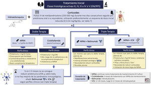 Tratamiento inicial o de inducción en las clases histológicas III/IV±V eGFR: tasa de filtración glomerular estimada; ICN: inhibidores de la calcineurina; ISN/RPS: International Society of Nephrology/Renal pathology Society; MMF: mofetil micofenolato; MPAA: análogos del ácido micofenólico; TAC: tacrolimus; VCS: voclosporina.