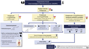 Tratamiento de inducción en la clase V (membranosa pura) ARA-II: antagonistas de los receptores de angiotensina II; CsA: ciclosporina A; FRCV: factores de riesgo cardiovascular; ICN: inhibidores de la calcineurina; IECAs: inhibidores de la enzima convertidora de angiotensina; ISN/RPS: International Society of Nephrology/Renal pathology Society; LES: lupus eritematoso sistémico; MPAA: análogos del ácido micofenólico; SRAA: sistema-renina angiotensina-aldosterona, TAC: tacrolimus; VCS: voclosporina.