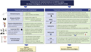 Tratamiento de mantenimiento en las clases III/IV±V y V ARA-II: antagonistas de los receptores de angiotensina II; CsA: ciclosporina A; HCQ: hidroxicloroquina; FRCV: factores de riesgo cardiovascular; ICN: inhibidores de la calcineurina; IECAs: inhibidores de la enzima convertidora de angiotensina; iSGLT2: inhibidores del cotransportador tubular 2 de sodio-glucosa; PA: presión arterial; MMF: mofetil micofenolato; MPAA: análogos del ácido micofenólico; TAC: tacrolimus; VCS: voclosporina.
