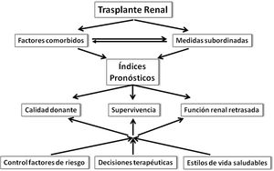 Interacción entre índices pronósticos, supervivencia y decisiones terapéuticas en trasplante renal.