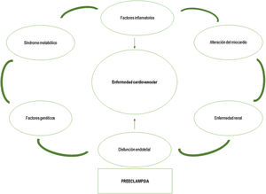 Vías comunes para el desarrollo de preeclampsia y enfermedad cardiovascular.