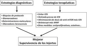 Estrategias diagnósticas y medidas terapéuticas encaminadas a mejorar los resultados de supervivencia del trasplante renal. ICN: fármacos inhibidores de la calcineurina.
