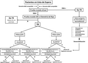 Algoritmo para la asignación de injertos, esquema inmunosupresor y monitorización post-TR acorde al riesgo inmunológico pre-TR. DSA: anticuerpos anti-HLA donante específicos; IS: inmunosupresión; PAR: anticuerpos reactivos frente al panel; TR: trasplante renal. aBaja inmunosupresión incluye tacrolimus más micofenlato mofetil o dosis minimizadas de tacrolimus y everolimus, o monoterapia con tacrolimus, sin inducción ni prednisona de mantenimiento. bModerada inmunosupresión: prednisona, tacrolimus y micofenolato mofetil o ácido micofenólico con o sin inducción con basiliximab. Como alternativa prednisona y dosis reducidas de tacrolimus y everolimus. cIntensa inmunosupresión: Inducción con timoglobulina o Grafalón® más triple terapia prednisona, tacrolimus y micofenolato mofetil o ácido micofenólico. dSeguimiento convencional post-TR acorde a las características del centro y del paciente eLlevar a cabo de manera individualizada la vigilancia de la adherencia terapéutica, biopsias de protocolo y uso de biomarcadores específicos de disfunción inmunológica.