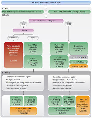 Algoritmo de riesgo vascular, objetivos terapéuticos y tratamiento farmacológico en pacientes con diabetes. Adaptada de Visseren et al.1 (fig. 8, pág. 29). C-LDL: colesterol unido a lipoproteínas de baja densidad; DAPT: dual antiplatelet therapy; DPI: dual pathway inhibition; ECV: enfermedad cardiovascular; GLP-IRA: agonistas del receptor del péptido similar al glucagón tipo 1; HbAIc: hemoglobina glucosilada; LOD: lesión de órgano diana; PAS: presión arterial sistólica; SGLT2-i: inhibidores del cotransportador de sodio y glucosa; EPA: eicosapentaenoic acid.