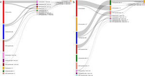 Líneas de tratamiento en pacientes anémicos tratados con AEE con a)ERC-ND (3a-5), y b)ERC-D.