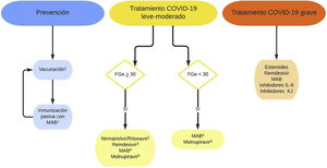 Recomendaciones sobre la prevención y el tratamiento de la infección por SARS-CoV-2.. MAB: anticuerpos monoclonales; IL-6: Interleucina-6; KJ: Kinasa Janus. 1Vacunación e inmunización pasiva con MAB no son excluyentes. Para administrar MAB se aconseja al menos 15 días desde la vacunación; las vacunas COVID-19 pueden administrarse simultáneamente o en cualquier momento después del MAB. 2Evitarlo si interacciones farmacológicas, por lo que no suele indicarse como primera opción en trasplantados. Existen propuestas de ajuste de dosis en FGe<30ml/min/1,73 m2, no avalados en práctica clínica52. 3Aunque limitadas, algunas experiencias publicadas no muestran mayor toxicidad en ERC avanzada54,55. Algunas guías plantean su uso con FGe<30ml/min/1,73m2, valorando los riesgos-beneficios45. 4Indicados, en general, si la respuesta de anticuerpos IgG anti-S se considera inadecuada para el grado de inmunosupresión del paciente (tabla 2). 5Menor eficacia que otras terapias anti-COVID-19.